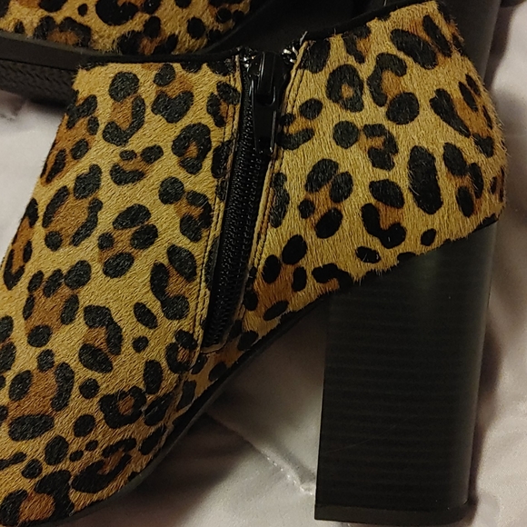 Moda Spana - Picture 3 of 7